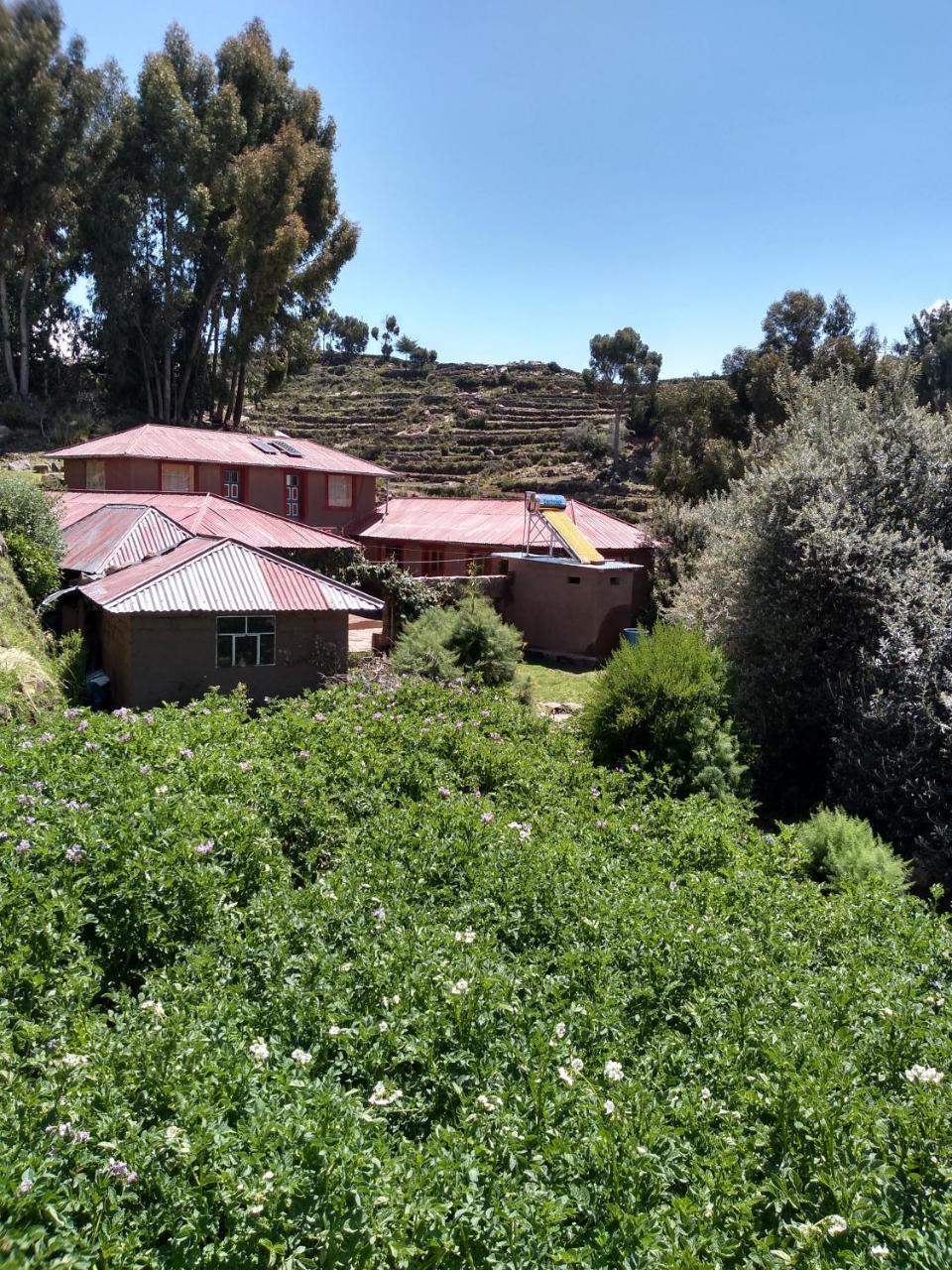 Hotel Taquile Familia Celso Huillanopampa Exteriér fotografie